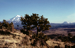 Mount Shasta and Black Butte by Ken Goehring