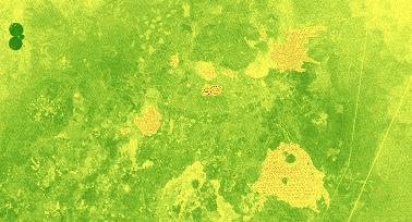 June 1992 NDVI of Medicine Lake